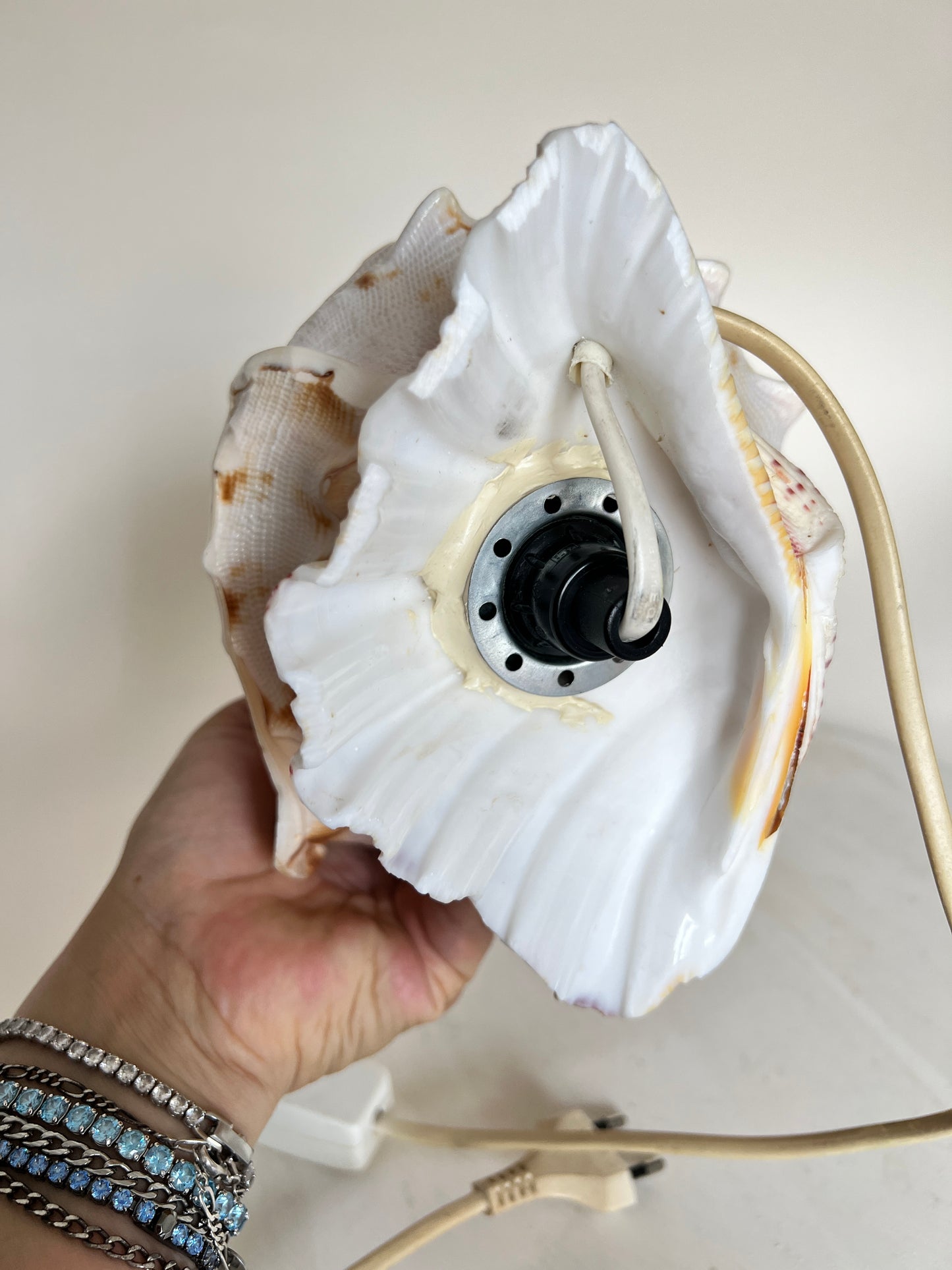 Vintage Riesen Muschel Tischlampe Nachttischlampe Conch Maritim Ambient