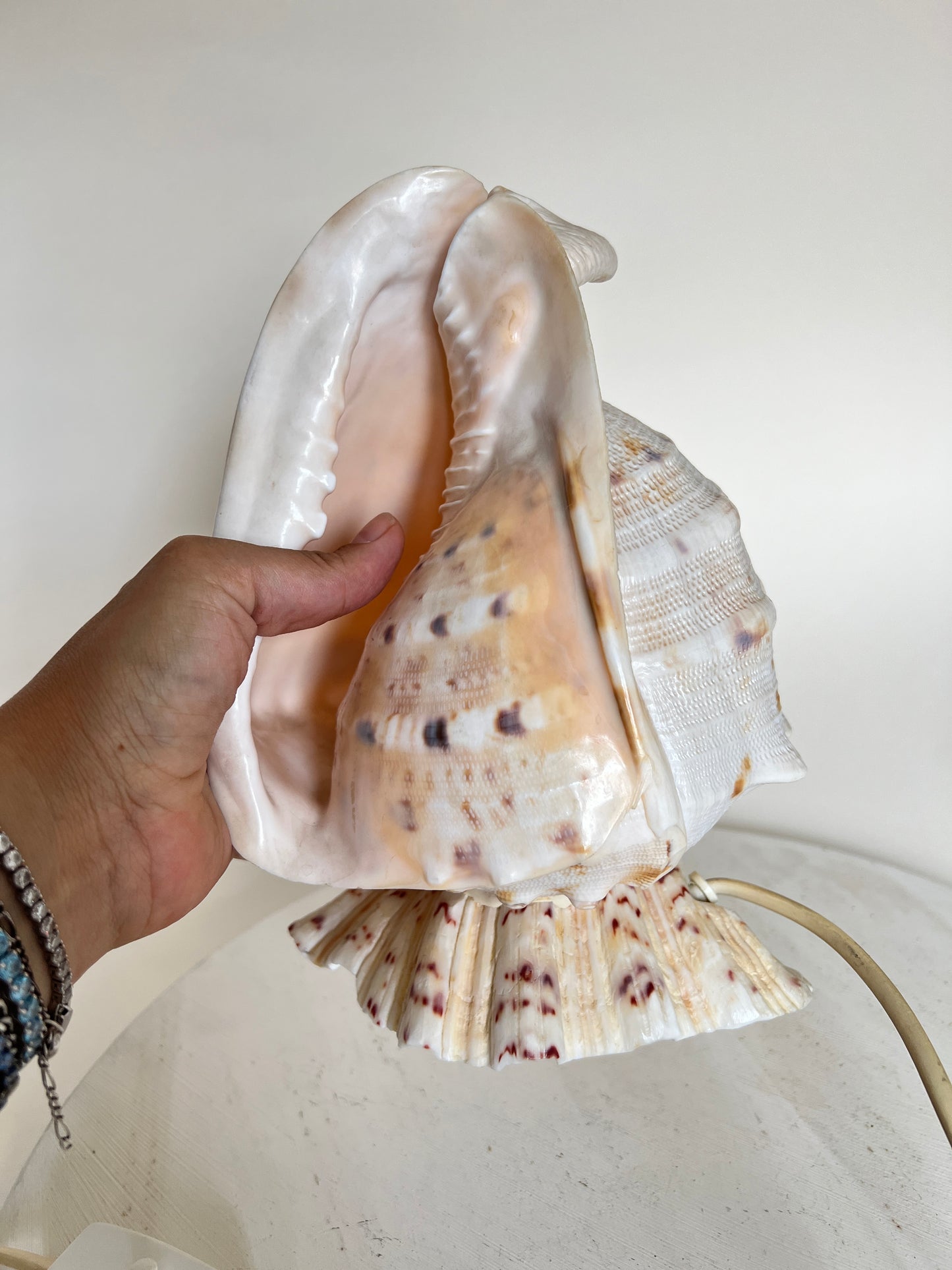 Vintage Riesen Muschel Tischlampe Nachttischlampe Conch Maritim Ambient