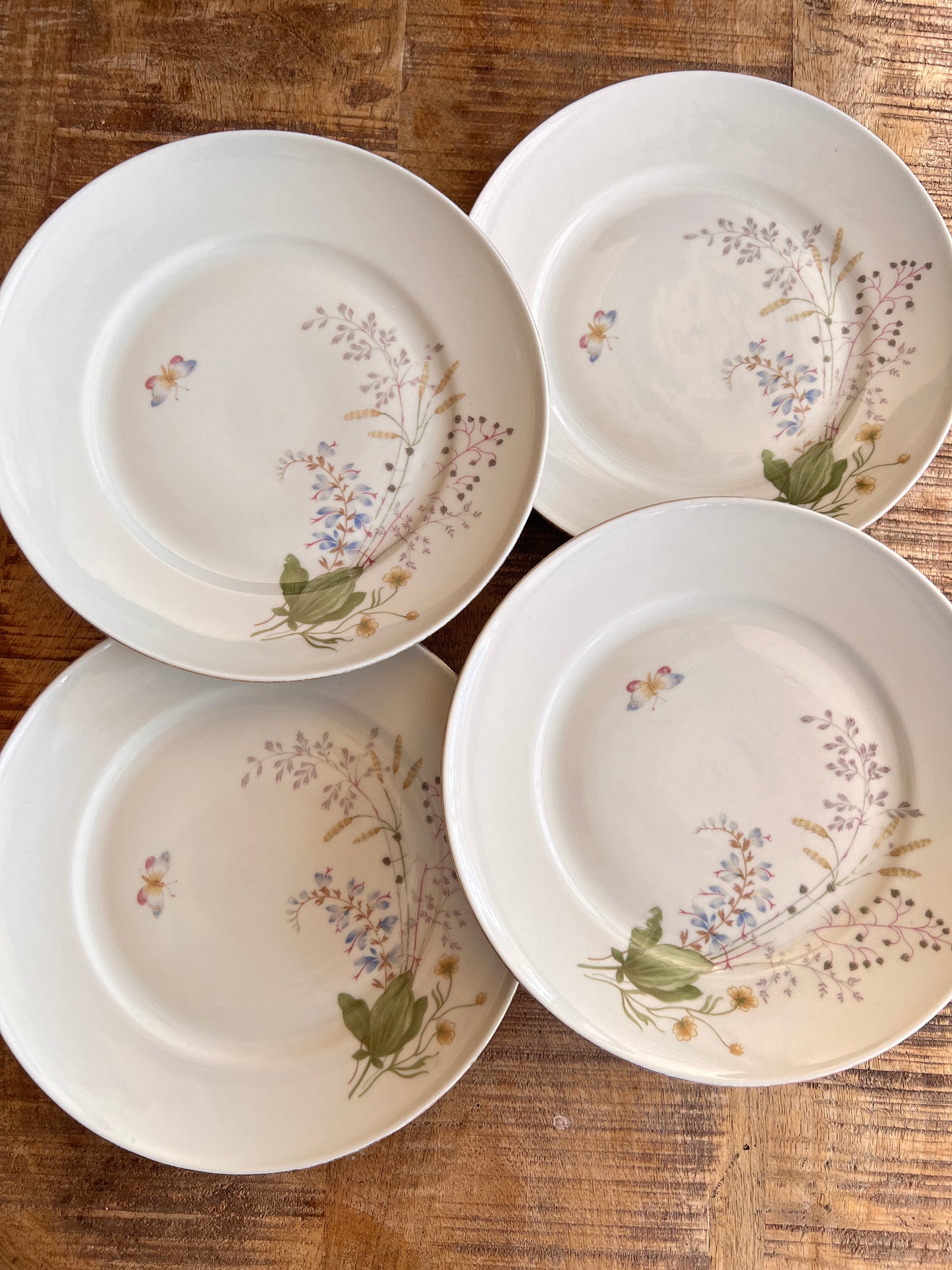 4x 19cm Teller - Vintage Mitterteich Bavaria Geschirr 70 – Florales Porzellan Schmetterling – Dessert Frühstücksteller mit Blumen Goldrand