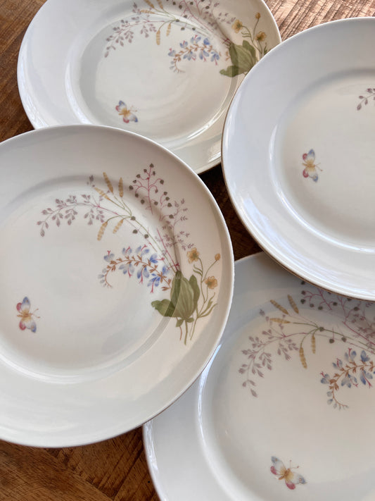 4x 19cm Teller - Vintage Mitterteich Bavaria Geschirr 70 – Florales Porzellan Schmetterling – Dessert Frühstücksteller mit Blumen Goldrand