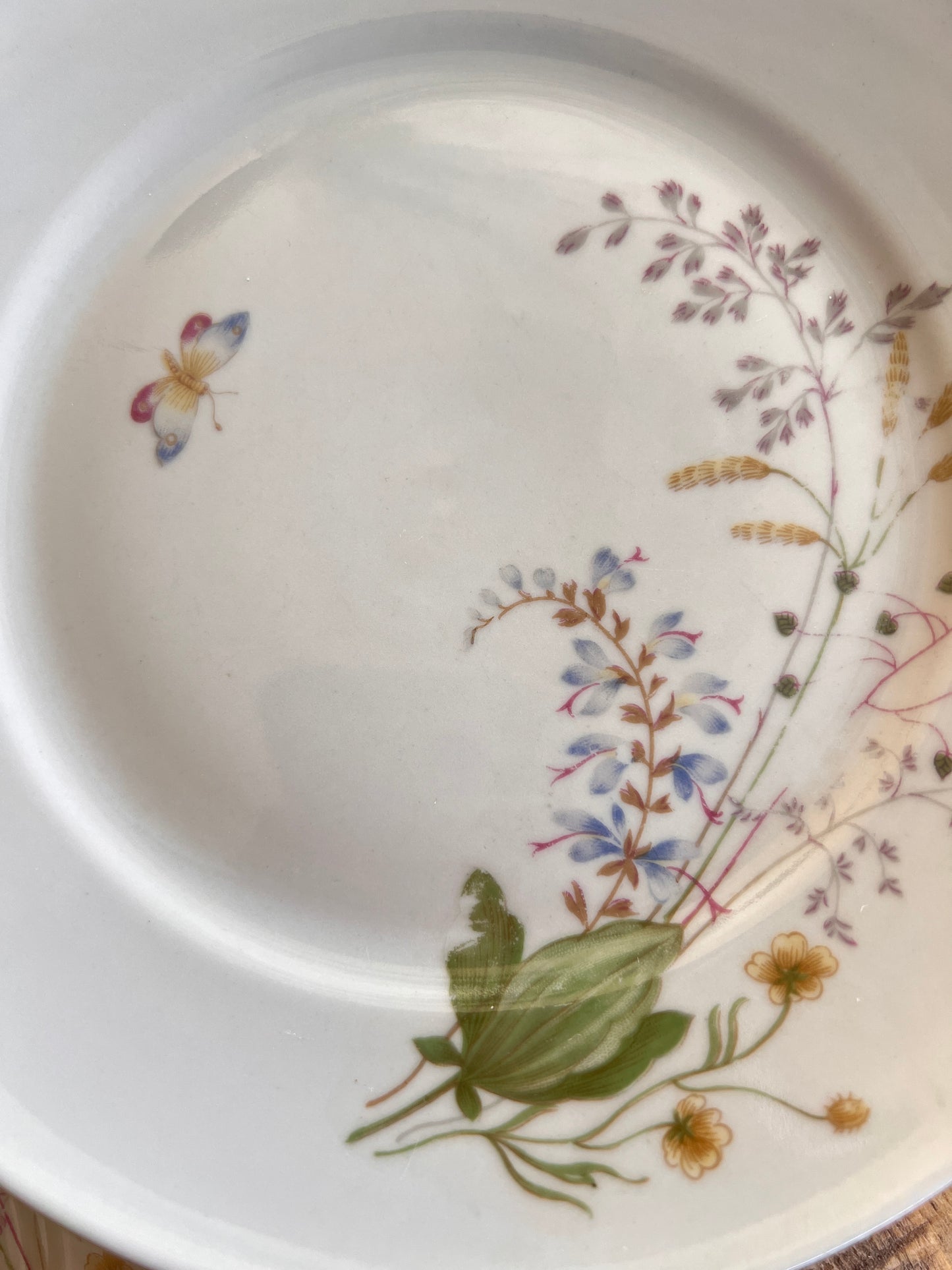 4x 19cm Teller - Vintage Mitterteich Bavaria Geschirr 70 – Florales Porzellan Schmetterling – Dessert Frühstücksteller mit Blumen Goldrand