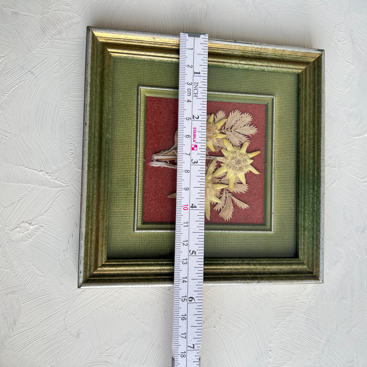 Vintage Edelweiss Alpen Bild Bilderrahmen getrocknete Blumen Herbarium