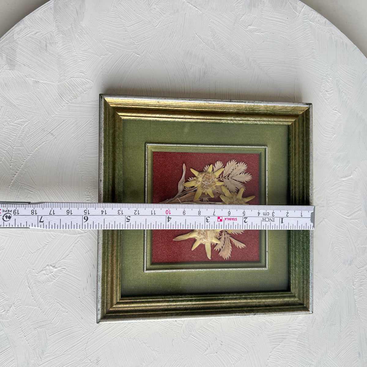 Vintage Edelweiss Alpen Bild Bilderrahmen getrocknete Blumen Herbarium