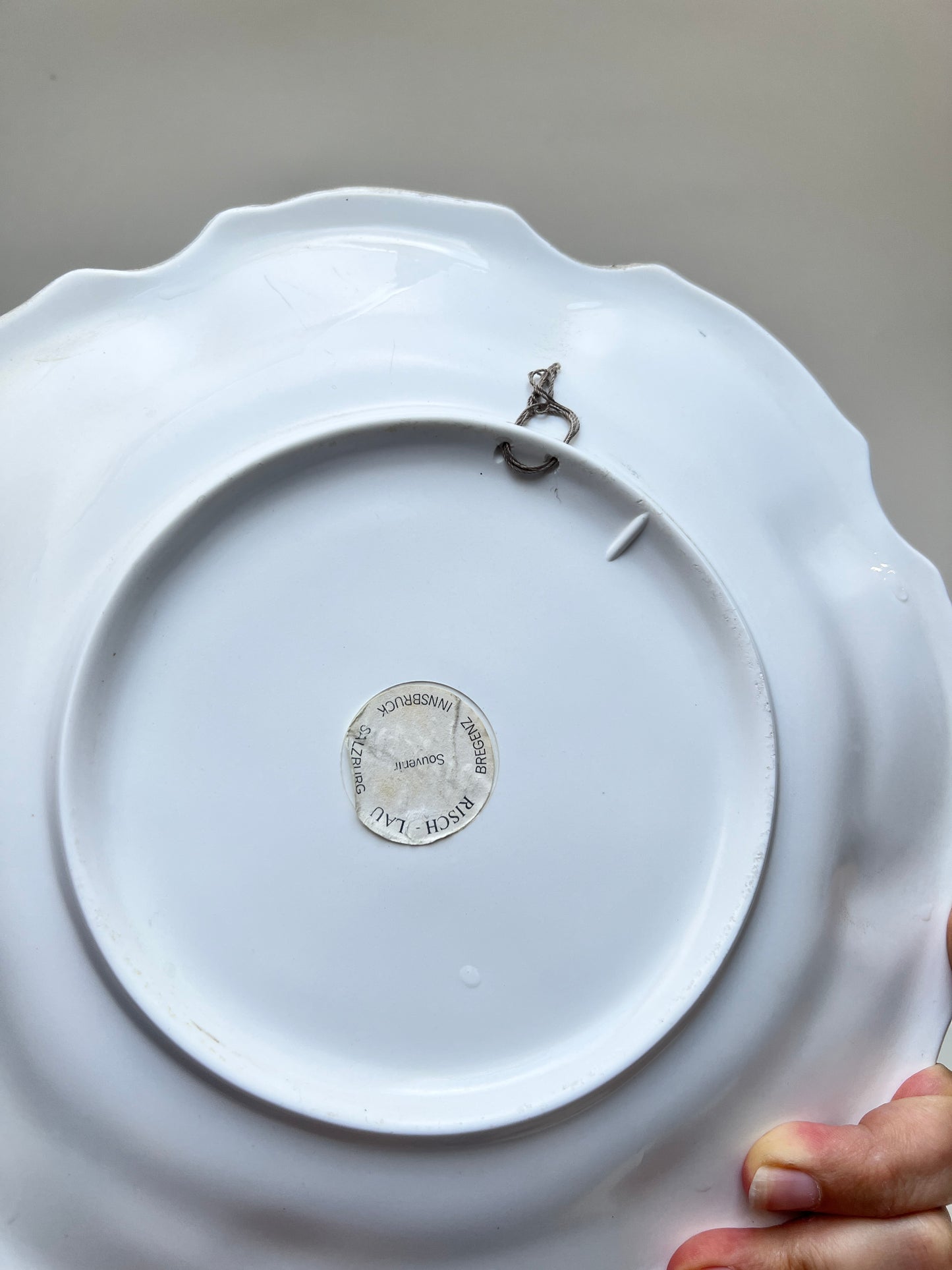 Vintage Melamin Wandteller mit Rosenmotiv & Delft Blau | Österreich Souvenir Innsbruck Salzburg Bregenz | 60er Jahre
